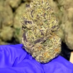 007 Exotic THCa Flower - Indica Strain - 39.21% @ HighHippy.com