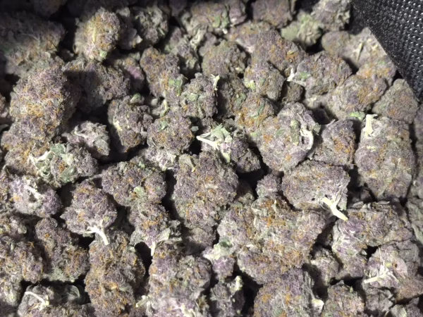 Trop Cherry Smalls THCa Flower Sativa Trop Cherry Smalls THCa Flower Sativa