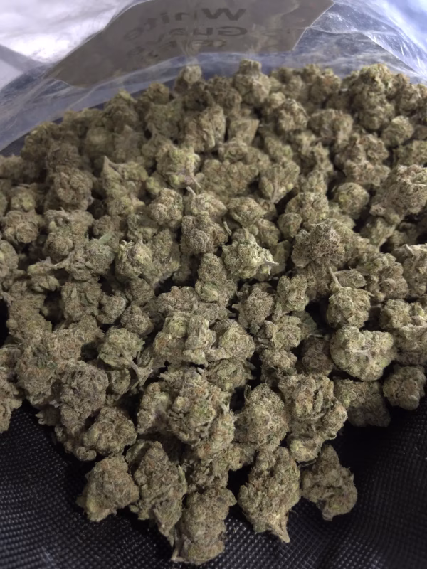 White Guava THCa Flower Indica White Guava THCa Flower Indica