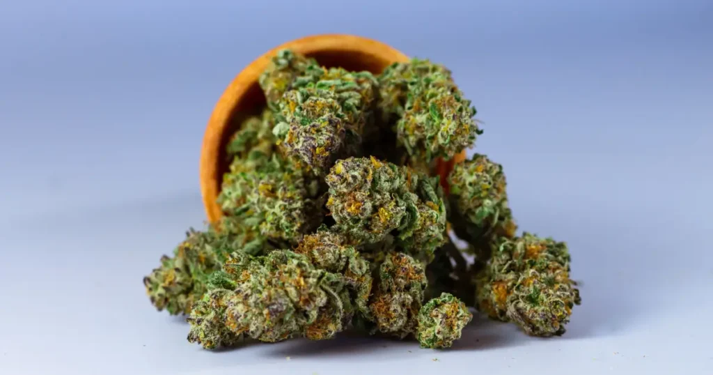 THCa Flower Texas Legal Status Benefits