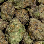 9 LB Hammer - Indica Strain - 40.93% THCa 01 from FrostyClub.com Wholesale, HighHippy.com retail - Free Overnight Shipping!