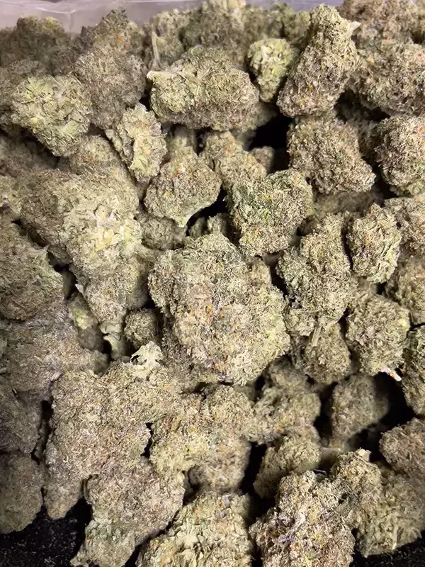 Alabama Slamma 2.0 – THCa Flower – Sativa Strain – 32.39% @ HighHippy.com - Fast Shipping!