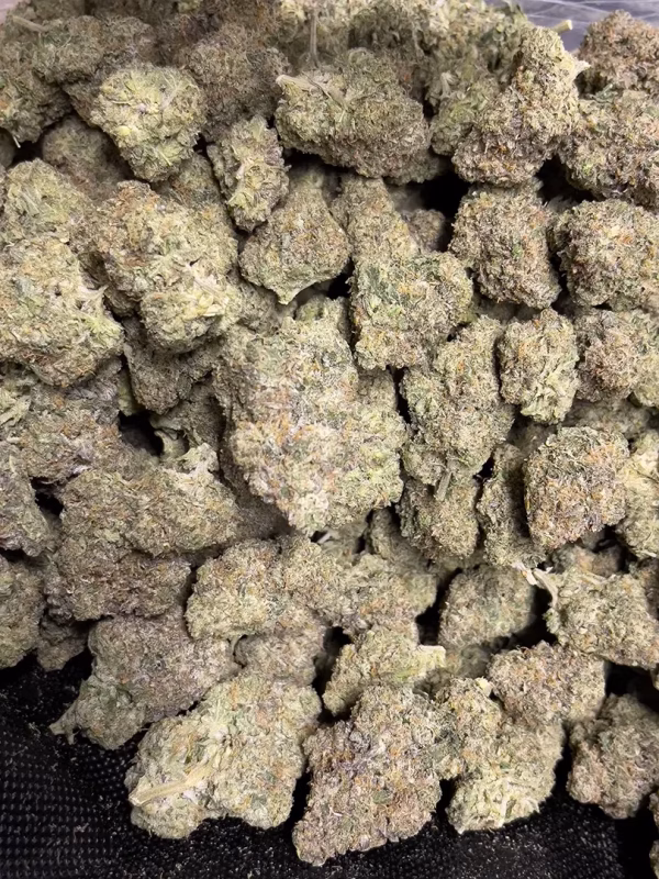 Alabama Slamma 2.0 – THCa Flower – Sativa Strain – 32.39% @ HighHippy.com - Fast Shipping!