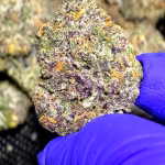 Birthday Cake - Indica Strain - 36.04% THCa @ HighHippy.com - Overnight Shipping!