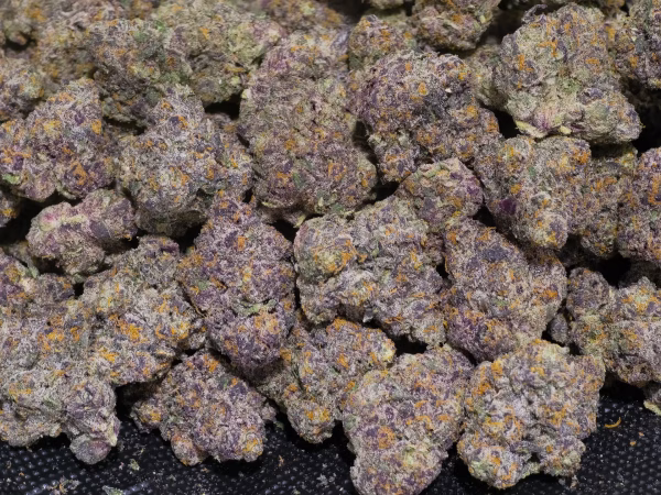 Birthday Cake - Indica Strain - 36.04% THCa @ HighHippy.com - Overnight Shipping!