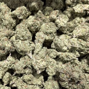 Black Garlic Gelato — Indica Strain — THCa Flower — 33.19% — Exotic - Image 2