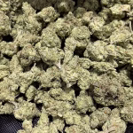Black Garlic Gelato – Indica Strain – THCa Flower – 33.19% – Exotic @ HighHippy.com