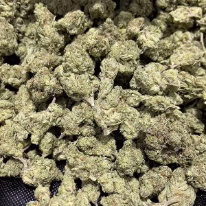 Black Garlic Gelato – Indica Strain – THCa Flower – 33.19% – Exotic @ HighHippy.com