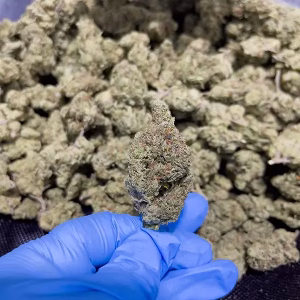 Black Garlic Gelato – Indica Strain – THCa Flower – 33.19% – Exotic @ HighHippy.com