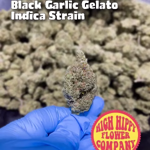 Black Garlic Gelato – Indica Strain – THCa Flower – 33.19% – Exotic @ HighHippy.com