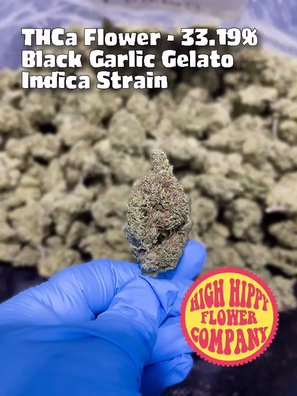 Black Garlic Gelato – Indica Strain – THCa Flower – 33.19% – Exotic @ HighHippy.com