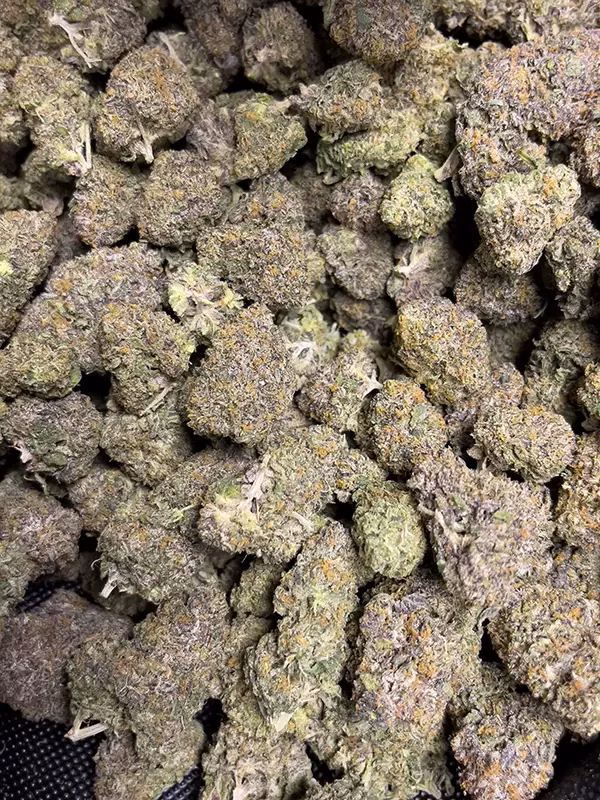 Blue Cookies - Indica Strain - THCa Flower - 36.58% - Private Reserve @HighHippy.com