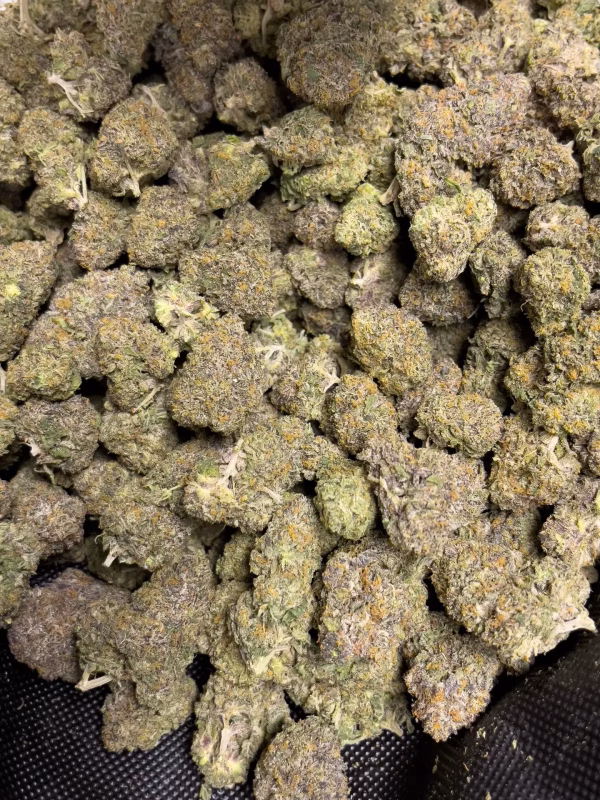 Blue Cookies - Indica Strain - THCa Flower - 36.58% - Private Reserve @HighHippy.com