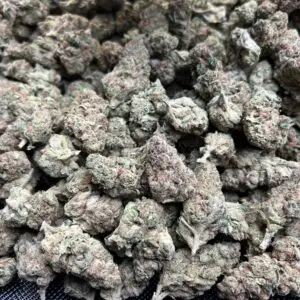 Blue Rhino #2 THCa Flower Indica