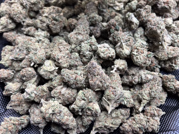 Blue Rhino #2 THCa Flower Indica