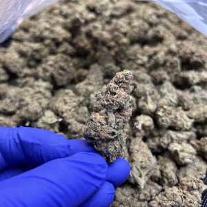 Blue Rhino #2 THCa Flower Indica