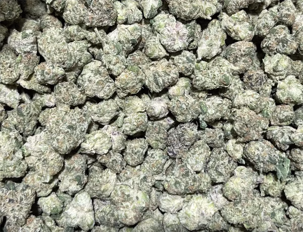 Blueberry Yum Yum (Smalls) THCa Flower Hybrid Blueberry Yum Yum (Smalls) THCa Flower Hybrid