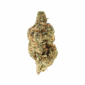 Brownie Scout – Indica Strain – Exotic THCa Flower – 27.20% @ HighHippy.com - Fast Shipping!