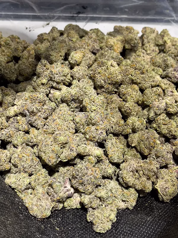 Candyland Kush - Sativa Strain - 31.65% THCa Flower - Private Reserve @ HighHippy.com