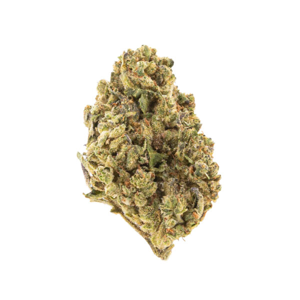 Cereal Milk THCa Flower Hybrid Cereal Milk THCa Flower Hybrid