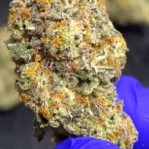 Cherry AK – Sativa Strain - 33.1% THCa Flower – Private Reserve @ HighHippy.com - Free OVERNIGHT Shipping