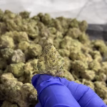 Cherry Cake - Hybrid Strain - 36.11% THCa