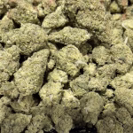 Cherry Dosi - 27.19% THCa - EX - Image 2