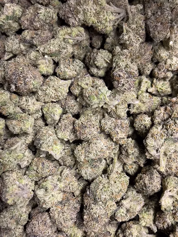 Cherry ZaZa - Hybrid Strain - THCa Flower - 38.45% @ HighHippy.com - Free Overnight Shipping!