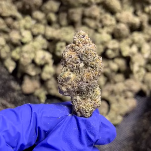 Cherry ZaZa - Hybrid Strain - THCa Flower - 38.45% @ HighHippy.com - Free Overnight Shipping!