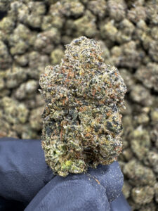 Cotton Candy THCa Hemp Flower Private Reserve