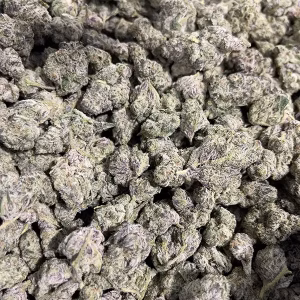 Dirty Girl - THCa Flower - Sativa Strain - High 41.09% D9 01 @ HighHippy.com