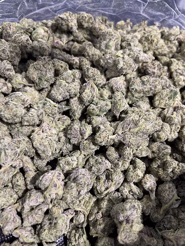 Dirty Girl - THCa Flower - Sativa Strain - High 41.09% D9 01 @ HighHippy.com