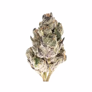 Dirty Girl - THCa Flower - Sativa Strain - High 41.09% D9 01 @ HighHippy.com