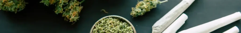 Does THCa Get You High @ HighHippy.com Blogs - Best THCa Flower Online, Cali-grown - FREE OVERNIGHT SHIPPING!