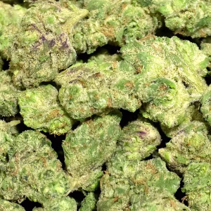 Donny Burger #2 Smalls THCa Flower Indica
