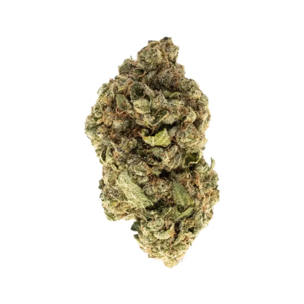 LA Punch THCa Flower – 33.55% – Indica – Exotic