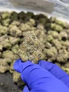 Frosted Flakes Hybrid THCa Flower - 30.81% - $100/Oz SMALLS @ HighHippy.com