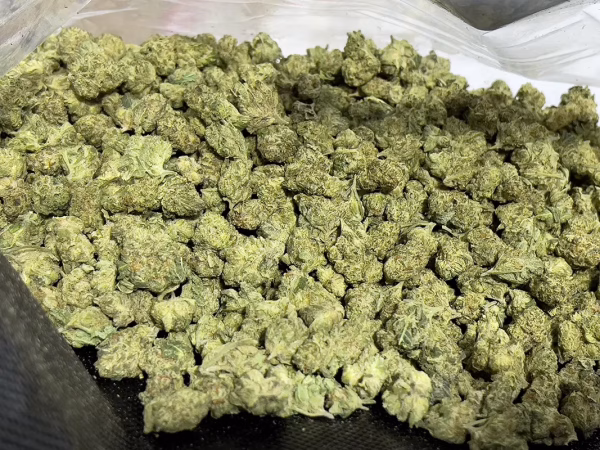 Frosted Flakes Hybrid THCa Flower - 30.81% - $100/Oz SMALLS @ HighHippy.com