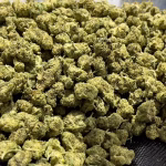 Frosted Flakes Hybrid THCa Flower - 30.81% - $100/Oz SMALLS @ HighHippy.com