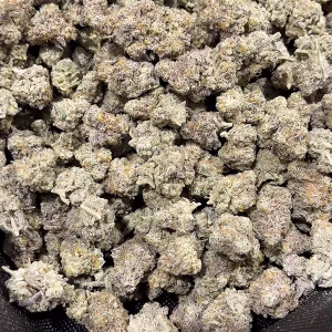 Frosted Popz Sativa Strain - THCa Exotic / Indoor - 28.11%