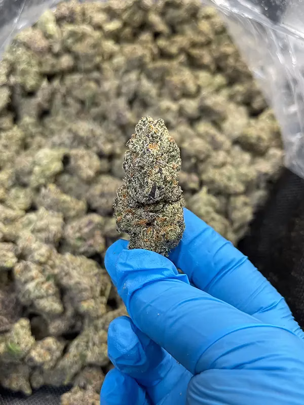 Frosty - THCa Flower - Indica Strain - 41.86% High Potency @ HighHippy.com 4 free Overnight Shipping!