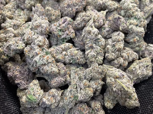 Frosty - THCa Flower - Indica Strain - 41.86% High Potency @ HighHippy.com 4 free Overnight Shipping!