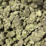 Grand Daddy Purple - 33.07% THCa - EX - Image 2