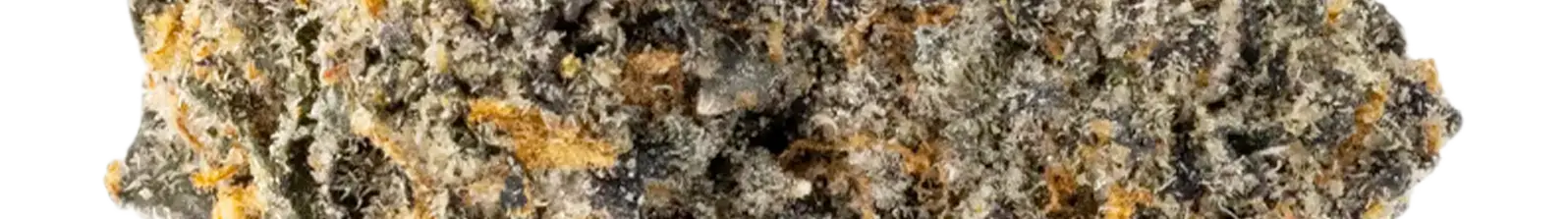 Gelato THCa Review & Effects - Truth Told @ HighHippy.com | Best THCa $100 OZ - Free Overnight Shipping