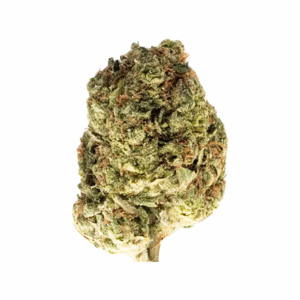 Gelato 41 x Kush Mintz THCa Flower Indica Gelato 41 x Kush Mintz THCa Flower Indica
