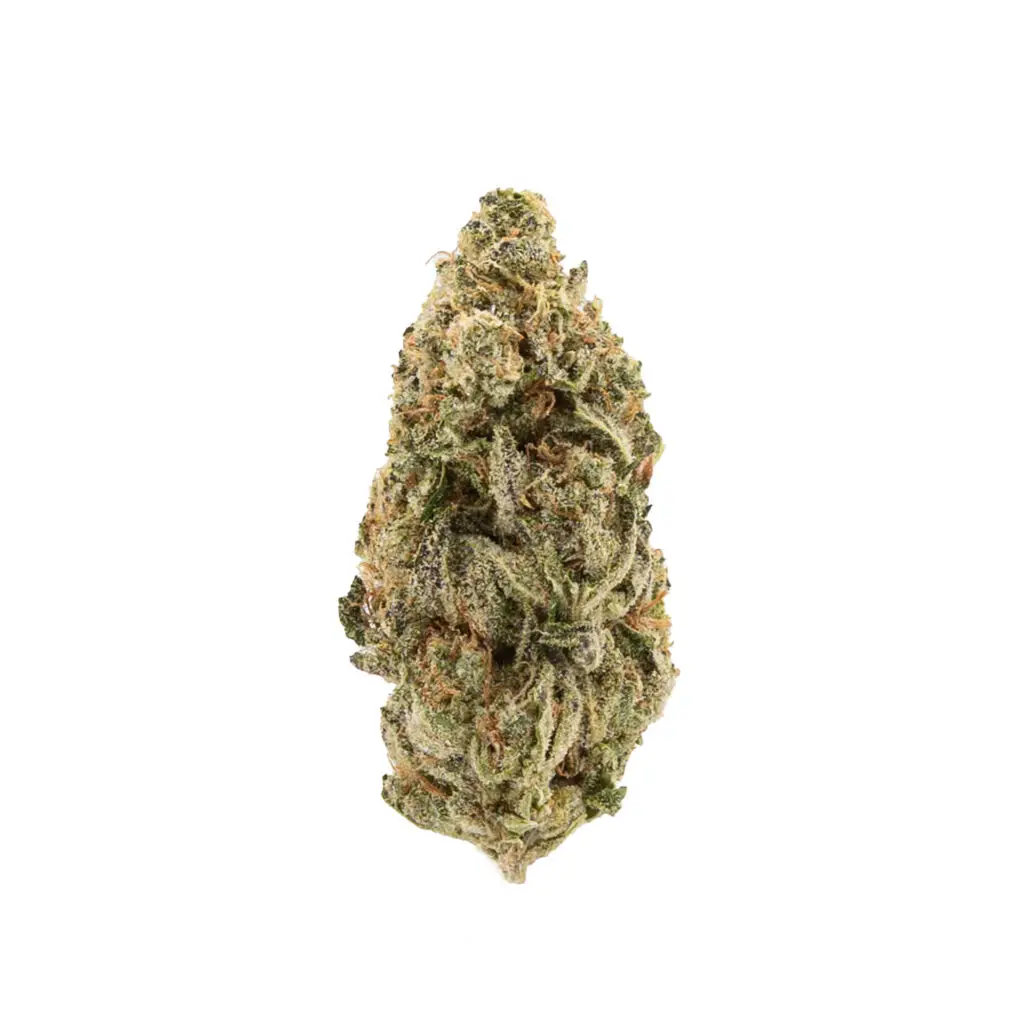Governmint Oasis THCa Flower – 32.70% – Hybrid – Exotic