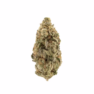 Governmint Oasis THCa Flower Hybrid