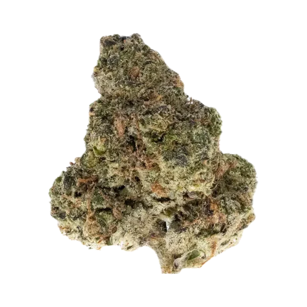 Governmint Oasis - Hybrid Strain - THCa Smalls - 31.25% - Exotic Indoor 01 Governmint Oasis - Hybrid Strain - THCa Smalls - 31.25% - Exotic Indoor @ HighHippy.com - THCa Flower Power - Free Overnight Deli ery!
