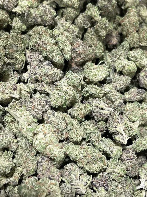 Governmint Oasis - Hybrid Strain - THCa Smalls - 31.25% - Exotic Indoor @ HighHippy.com - THCa Flower Power - Free Overnight Deli ery!