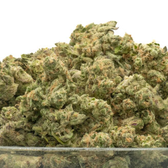 Governmint Oasis Smalls THCa Hemp Flower Exotic